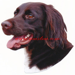 Samolepka belgický ovčák malinois