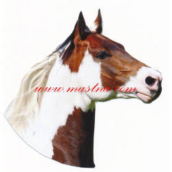 Samolepka paint horse, kůň, koně