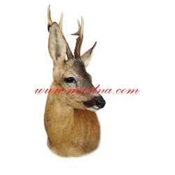 Samolepka srnec, srnčí zvěř