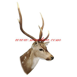 Samolepka jelen sika, zvěř