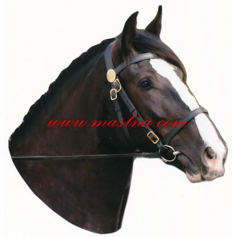 Samolepka shire horse, kůň, koně