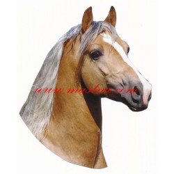 Samolepka quarter horse, kůň, koně