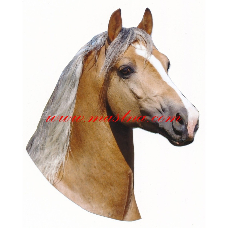 Samolepka quarter horse, kůň, koně