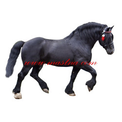 Samolepka norik, chladnokrevník, kůň, koně