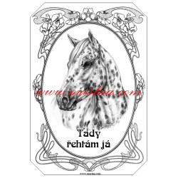 Cedulka appaloosa, kůň, koně