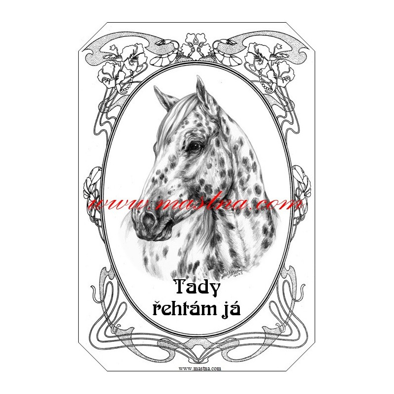Cedulka appaloosa, kůň, koně