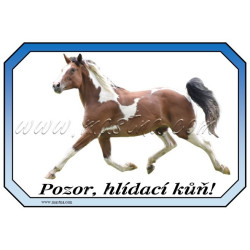Cedulka paint, kůň, koně