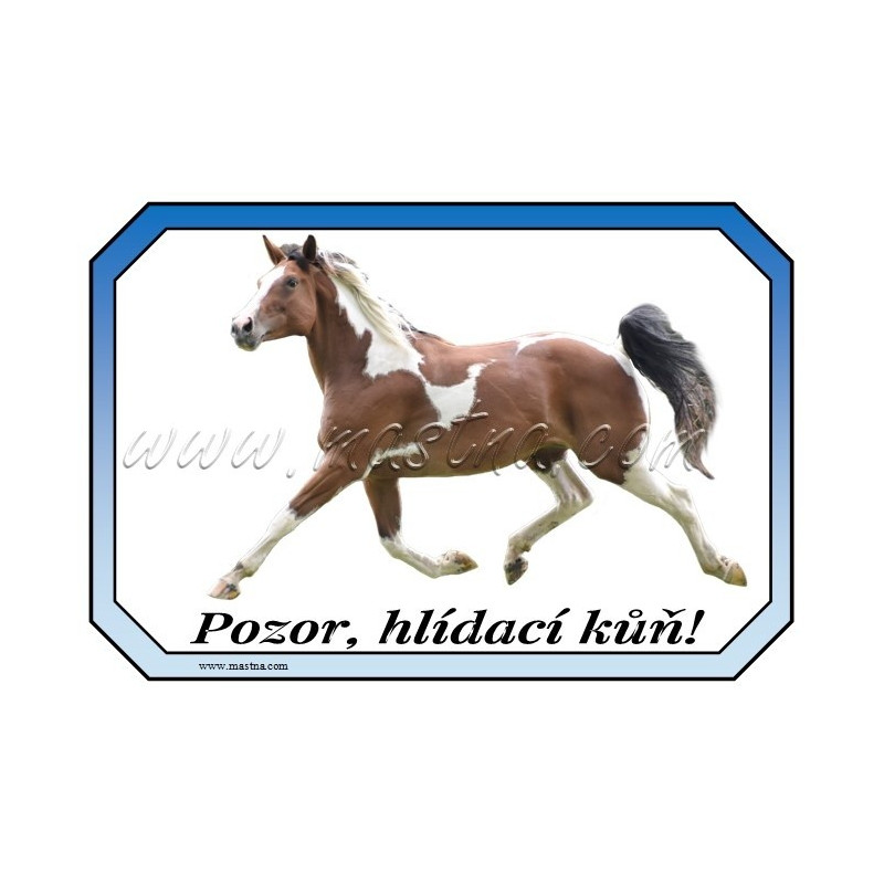 Cedulka paint, kůň, koně