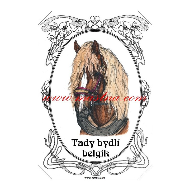 Tabulka českomoravský belgik, chladnokrevník, kůň, koně
