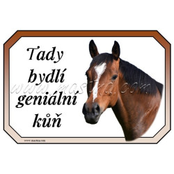 Cedulka kůň, koně, teplokrevník