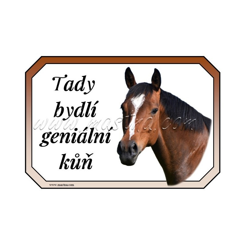 Cedulka kůň, koně, teplokrevník