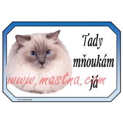 Tabulka kočka ragdoll