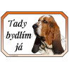 Cedulka baset anglický, basethound