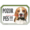 Cedulka bígl, beagle