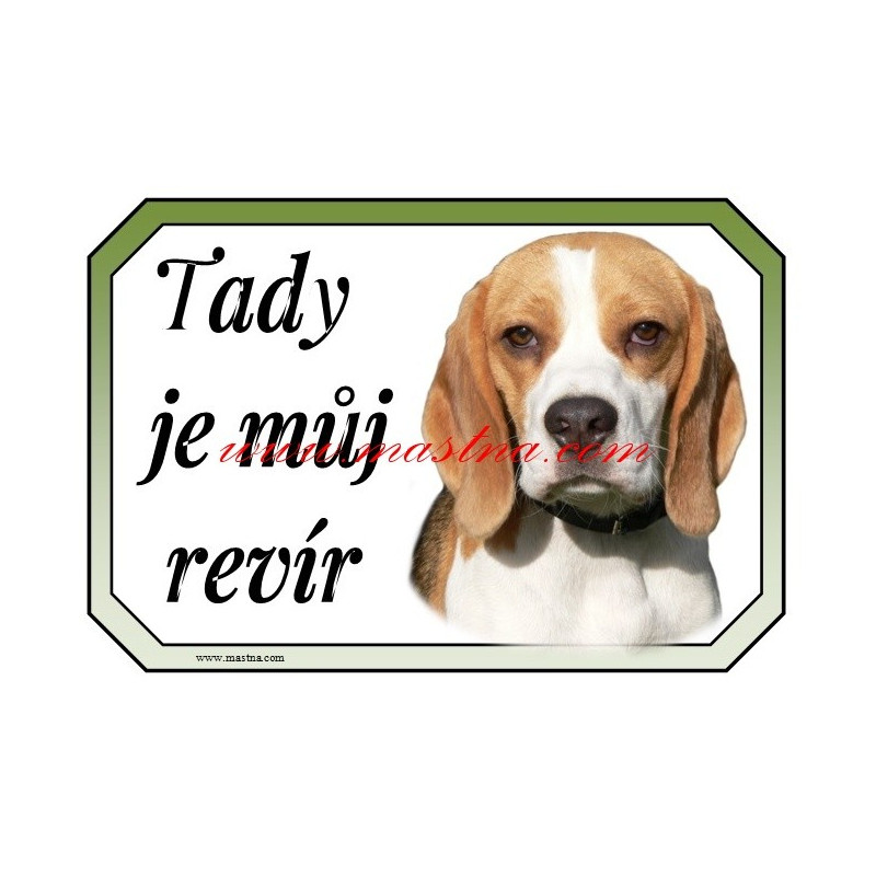 Cedulka bígl, beagle