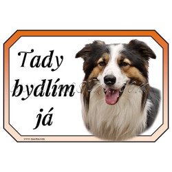 Cedulka border kolie trikolor
