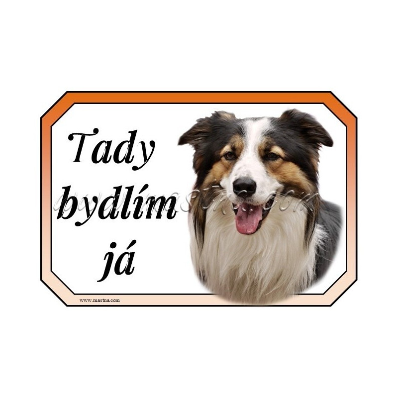 Cedulka border kolie trikolor