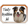 Cedulka border kolie trikolor