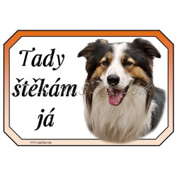 Cedulka border kolie trikolor