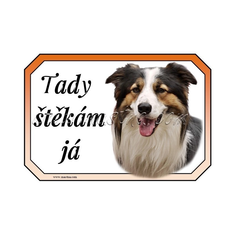 Cedulka border kolie trikolor