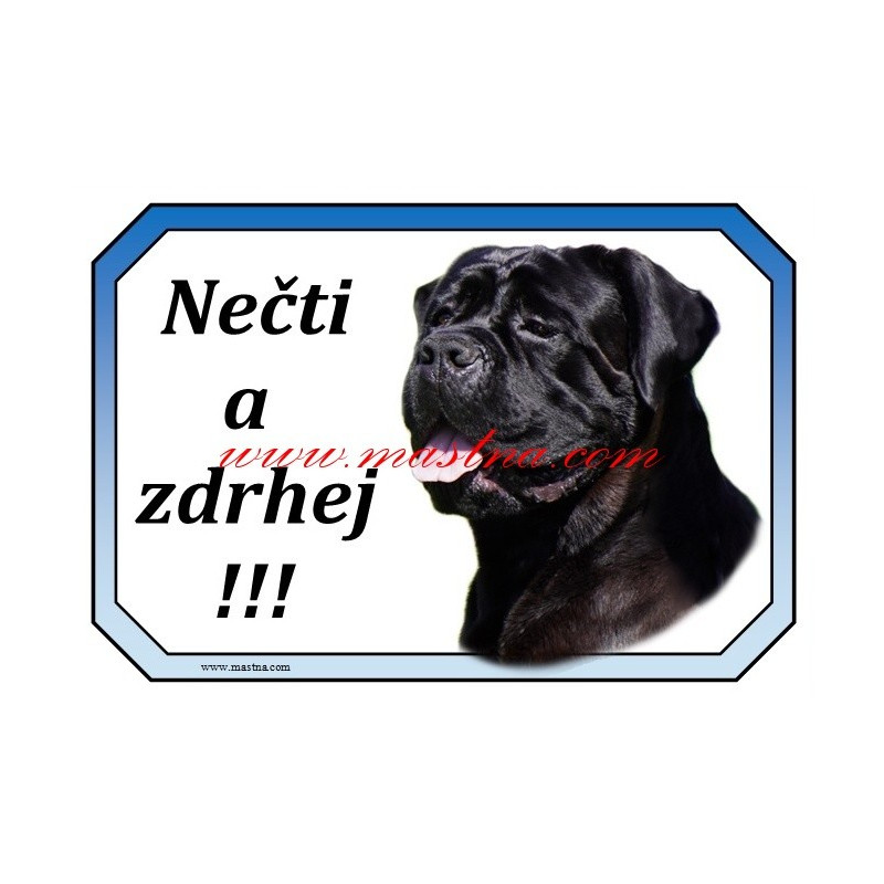 Cedulka italský corso, cane corso