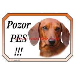 Cedulka jezevčík hladkosrstý