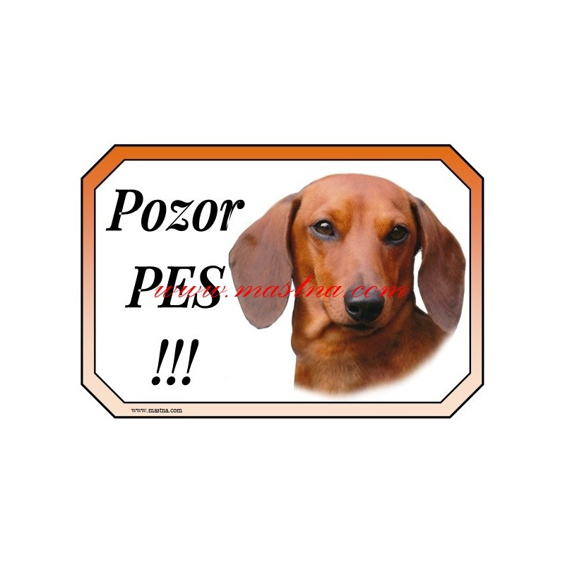 Cedulka jezevčík hladkosrstý