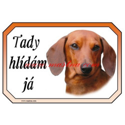 Cedulka jezevčík hladkosrstý