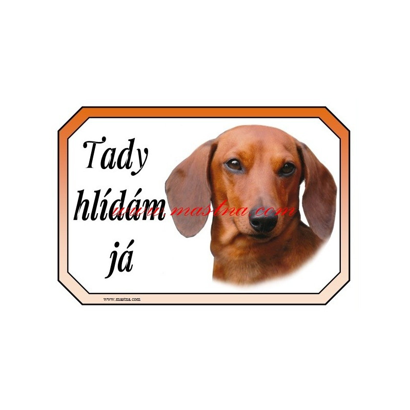 Cedulka jezevčík hladkosrstý