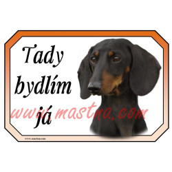 Cedulka jezevčík hladkosrstý