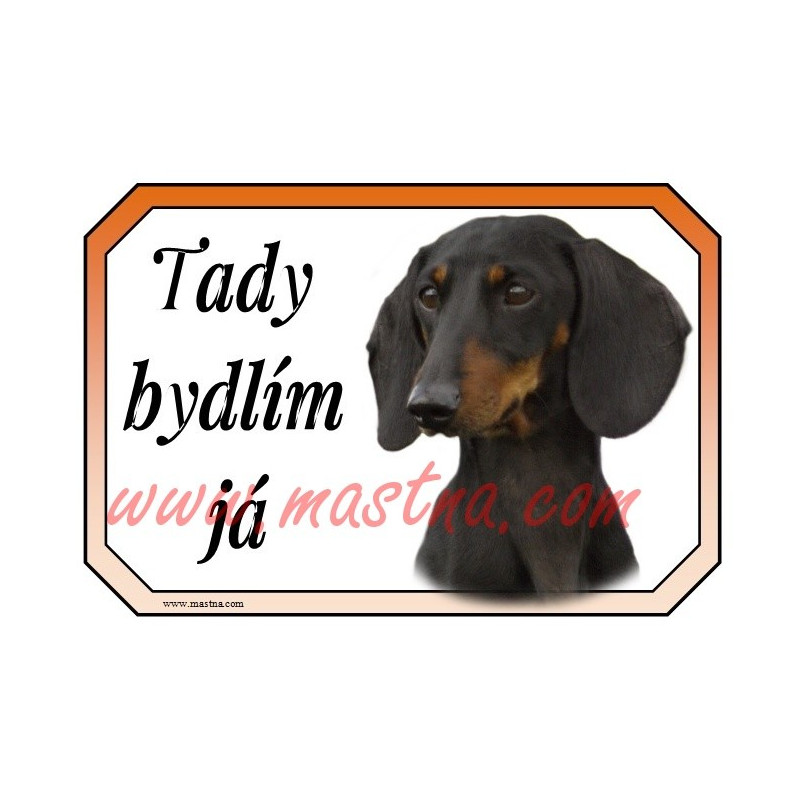 Cedulka jezevčík hladkosrstý