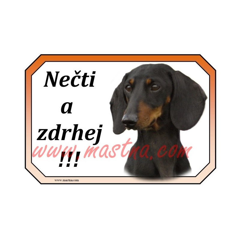 Cedulka jezevčík hladkosrstý