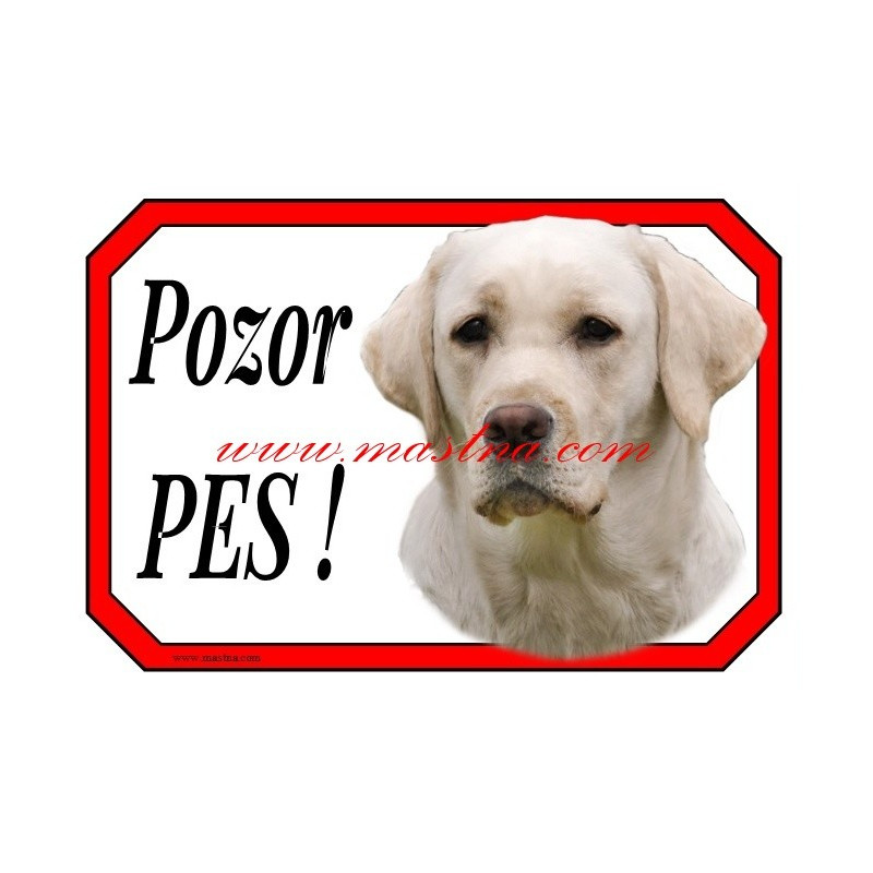 Cedulka labrador retrívr, retriever