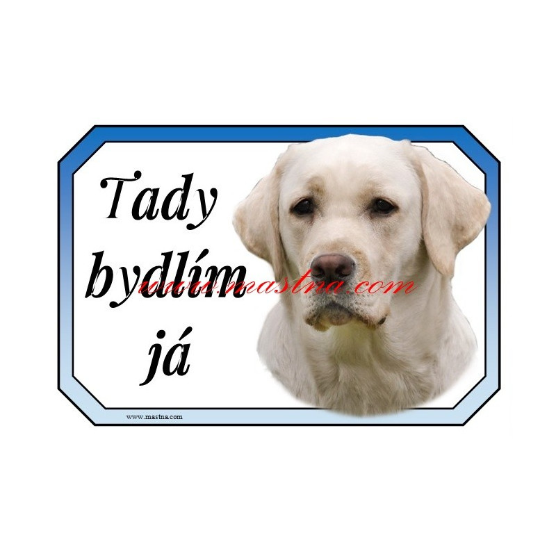 Cedulka labrador retrívr, retriever