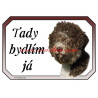 Cedulka italský vodní pes, lagotto Romagnolo