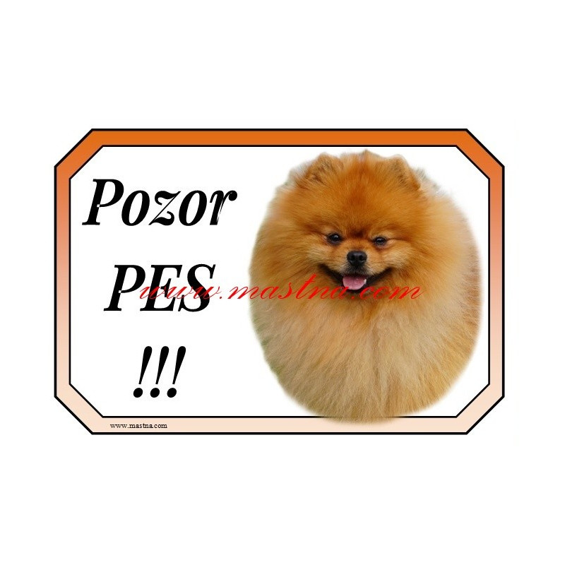 Cedulka špic, pomeranian