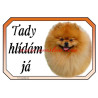 Cedulka špic, pomeranian