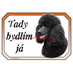Cedulka pudl černý