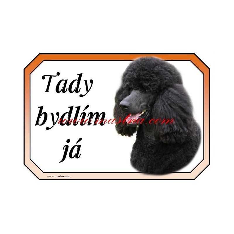Cedulka pudl černý