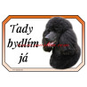 Cedulka pudl černý