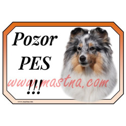 Cedulka šeltie, sheltie, skotský ovčák