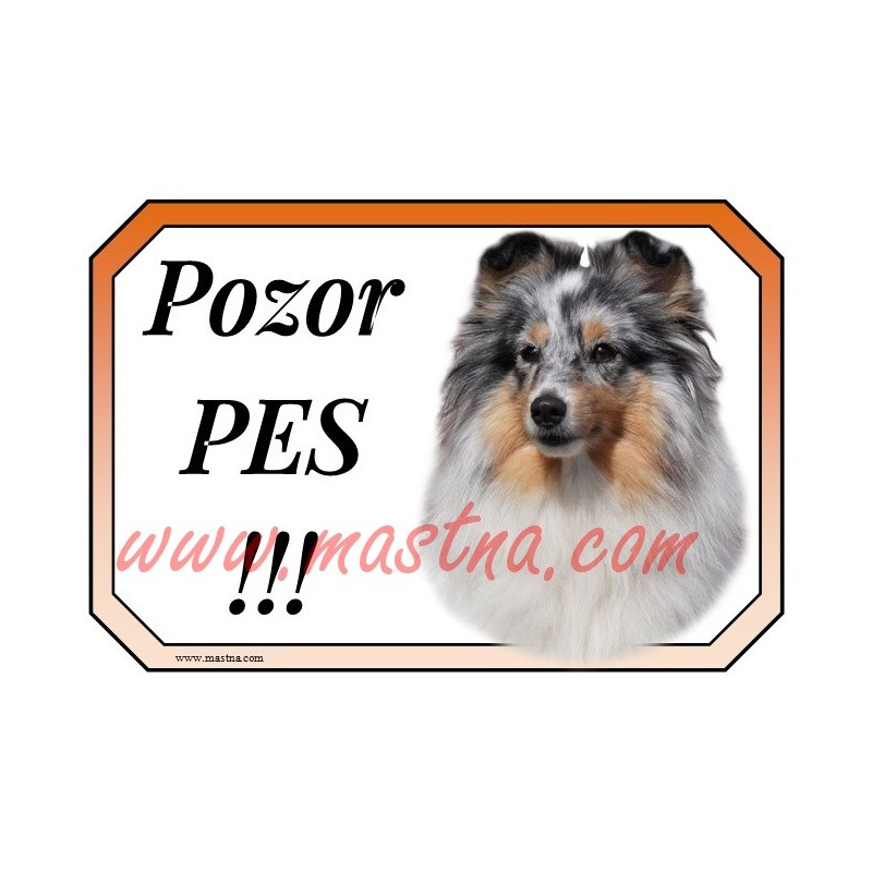 Cedulka šeltie, sheltie, skotský ovčák