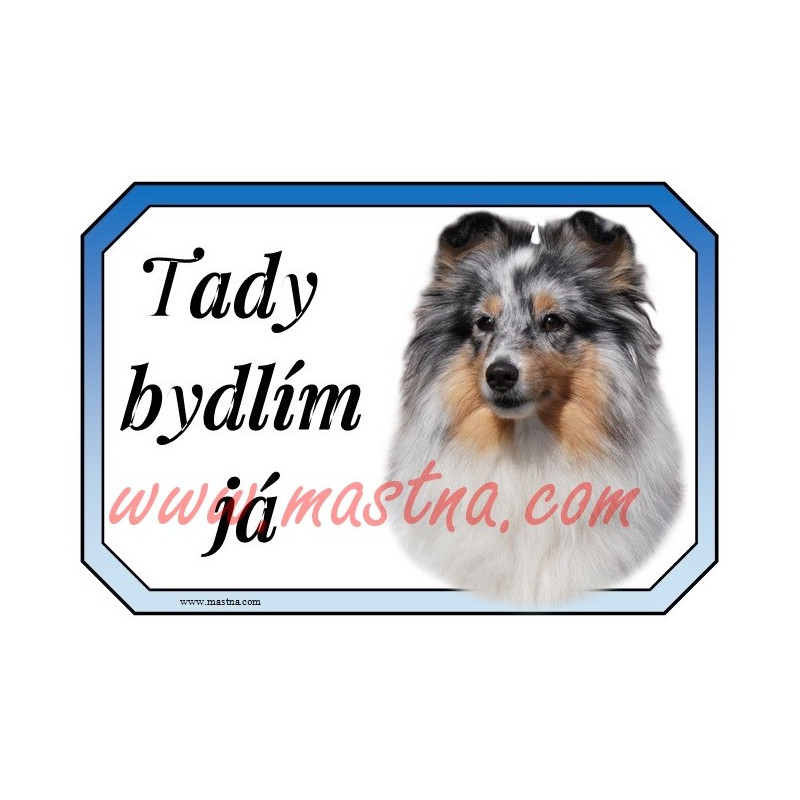 Cedulka šeltie, sheltie, skotský ovčák
