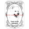Tabulka samojed