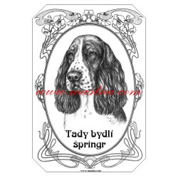 Tabulka anglický špringršpaněl