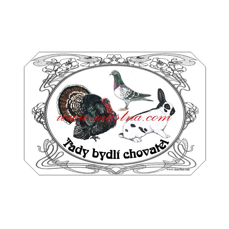 Cedulka holub moravský morák, voláč