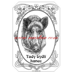 Tabulka kanec, divoké prase