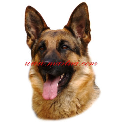 Samolepka německý ovčák