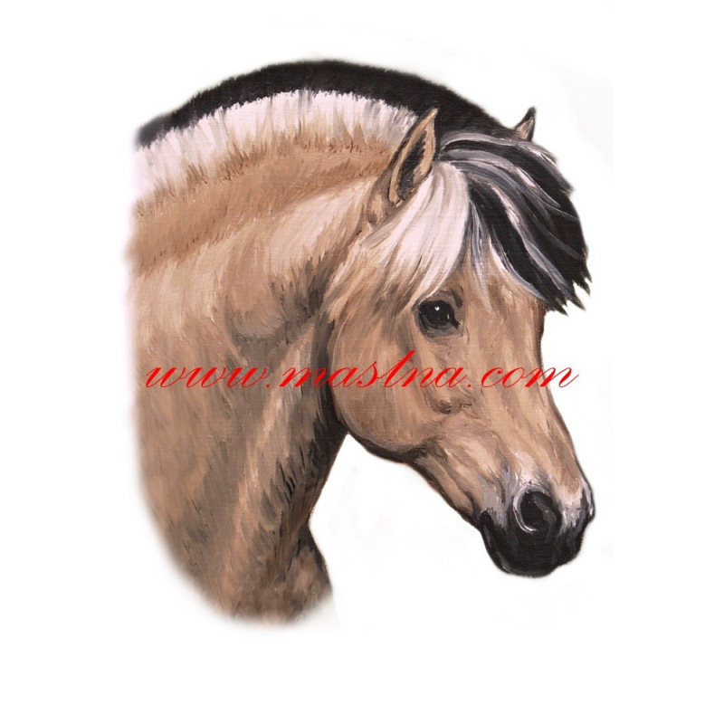 Samolepka fjordský kůň