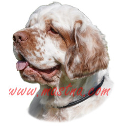 Samolepka clumber španěl, spaniel